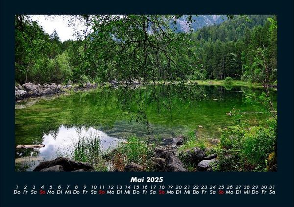 Produktbild: Pflanzen und Bl&uuml;ten 2025 Fotokalender DIN A4