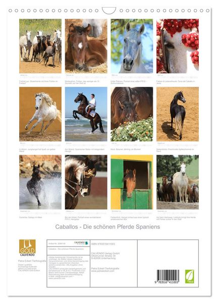 Produktbild: Caballos - Die sch&ouml;nen Pferde Spaniens (Wandkalender 2026 DIN A3 hoch), CALVENDO Monatskalender