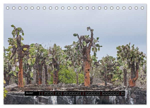 Produktbild: Galapagos- Landschaften (Tischkalender 2027 DIN A5 quer), CALVENDO Monatskalender