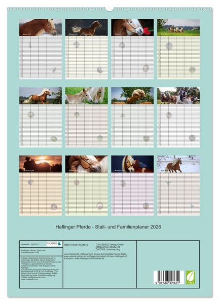 Produktbild: Haflinger Pferde - Stall- und Familienplaner 2026 (hochwertiger Premium Wandkalender 2026 DIN A2 hoch), Kunstdruck in Hochglanz