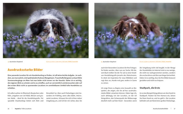 Produktbild: Hunde fotografieren - Kreative Bilder mit "Wau-Effekt"
