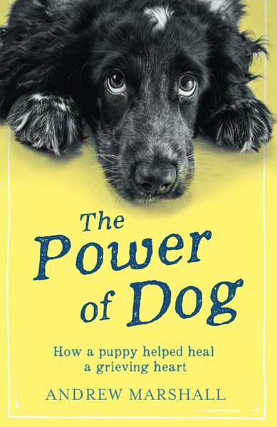 Produktbild: Power of Dog