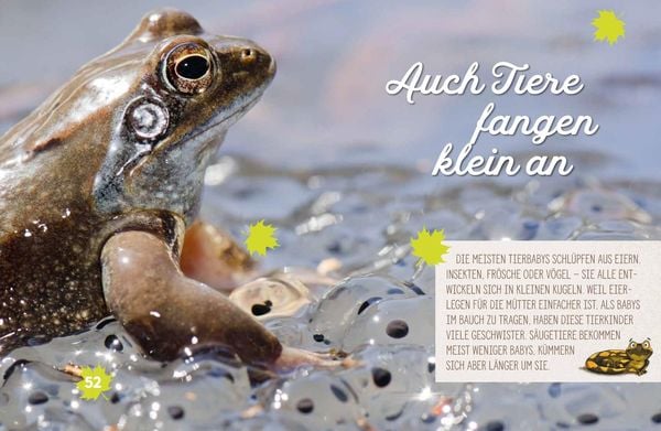 Produktbild: Weißt du, wo die Tiere wohnen?