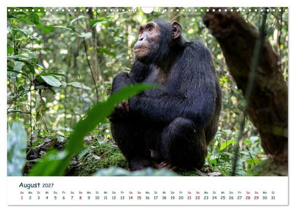 Produktbild: Fernweh Uganda - Natursch&ouml;nheit Ostafrikas (Wandkalender 2027 DIN A3 quer), CALVENDO Monatskalender