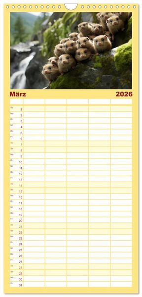Produktbild: Familienplaner 2026 - Die Magie der Masse mit 5 Spalten (Wandkalender, 21 x 45 cm) CALVENDO