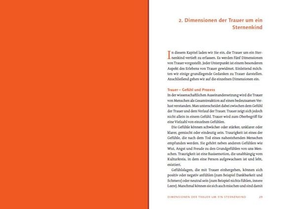 Produktbild: Sternenkind: Trauer verstehen und begleiten