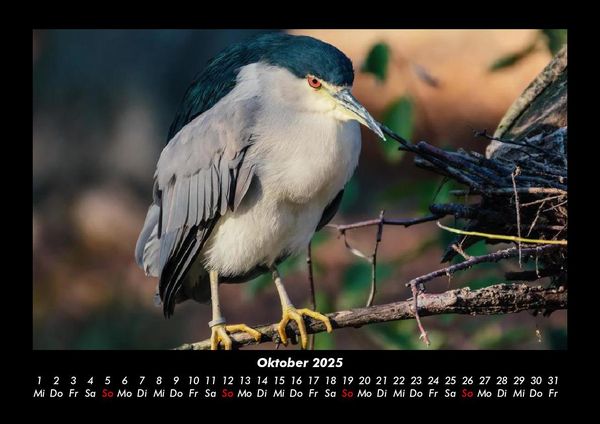Produktbild: Der Tierkalender 2025 Fotokalender DIN A3