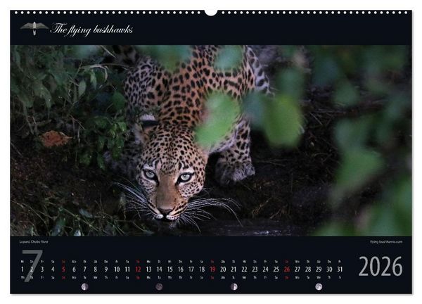 Produktbild: Botswana Blickwinkel 2026 (hochwertiger Premium Wandkalender 2026 DIN A2 quer), Kunstdruck in Hochglanz