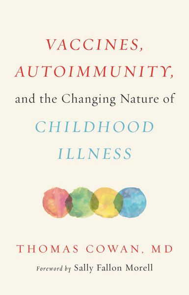 Produktbild: Vaccines, Autoimmunity, and the Changing Nature of Childhood Illness