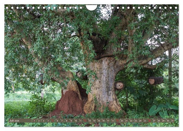 Produktbild: Geheimtipp Uganda (Wandkalender 2026 DIN A4 quer), CALVENDO Monatskalender