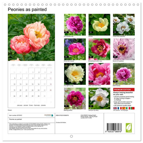 Produktbild: Peonies as painted (Wall Calendar 2026 12 &times; 12 Inch) CALVENDO 12 Month Wall Calendar