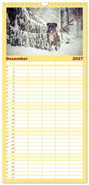 Produktbild: Familienplaner 2027 - Deutscher Boxer 2027 mit 5 Spalten (Wandkalender, 21 x 45 cm) CALVENDO