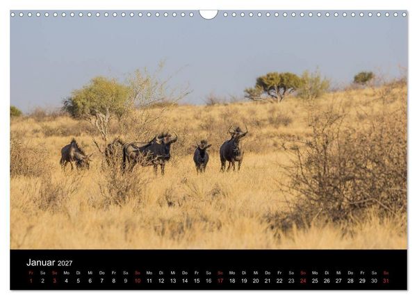 Produktbild: Wundersch&ouml;nes Namibia (Wandkalender 2027 DIN A3 quer), CALVENDO Monatskalender