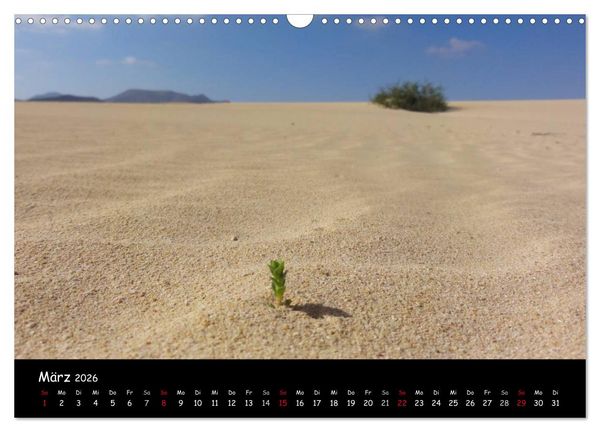 Produktbild: Fuerteventura - karge Sch&ouml;nheit (Wandkalender 2026 DIN A3 quer), CALVENDO Monatskalender