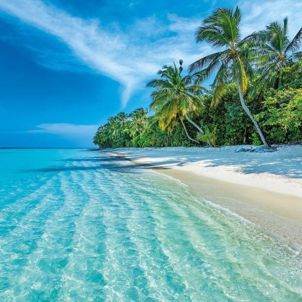 Produktbild: Strand und Meer / Beach and Sea 2027