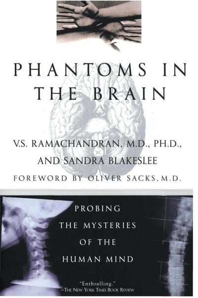Produktbild: Phantoms in the Brain