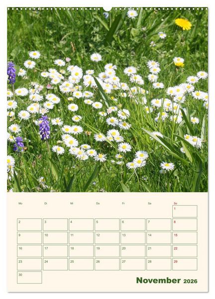 Produktbild: Vertr&auml;umte G&auml;nsebl&uuml;mchen (Wandkalender 2026 DIN A2 hoch), CALVENDO Monatskalender