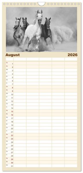 Produktbild: Familienplaner 2026 - Arabische Pferde mit 5 Spalten (Wandkalender, 21 x 45 cm) CALVENDO