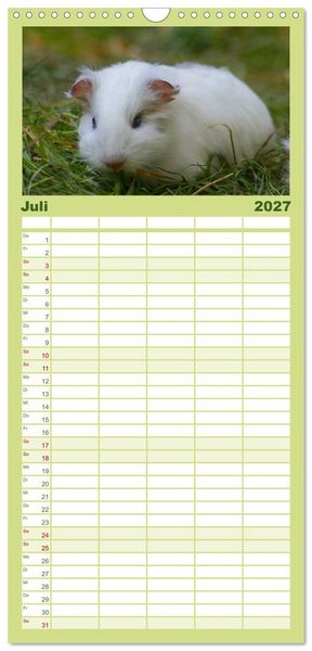 Produktbild: Familienplaner 2027 - Kuschelige Meerschweinchen mit 5 Spalten (Wandkalender, 21 x 45 cm) CALVENDO