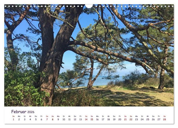 Produktbild: Natur und Landschaft Mecklenburg - Vorpommern 2026 (Wandkalender 2026 DIN A3 quer), CALVENDO Monatskalender