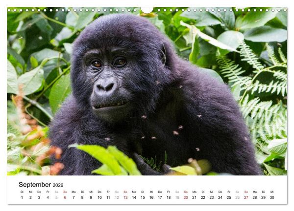 Produktbild: Uganda - die Perle Afrikas (Wandkalender 2026 DIN A3 quer), CALVENDO Monatskalender