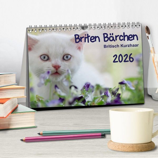 Produktbild: Briten B&auml;rchen &ndash; Britsch Kurzhaar 2026 (Tischkalender 2026 DIN A5 quer), CALVENDO Monatskalender