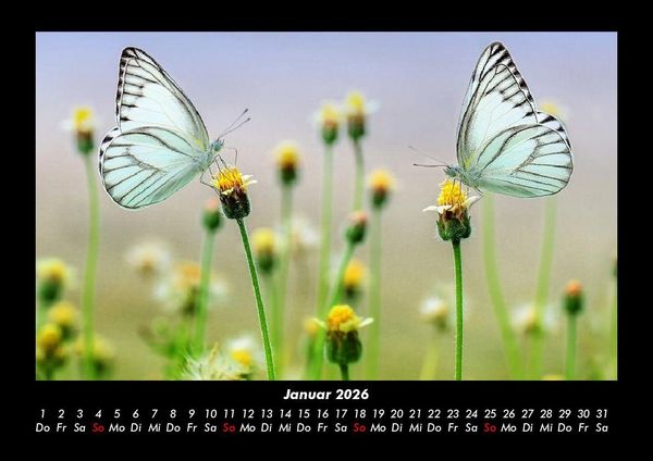 Produktbild: Natur 2026 Fotokalender DIN A3