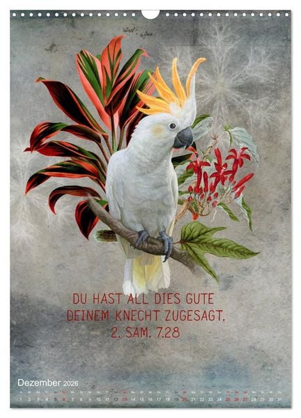 Produktbild: Bibelworte f&uuml;r Vogelfreunde (Wandkalender 2026 DIN A3 hoch), CALVENDO Monatskalender