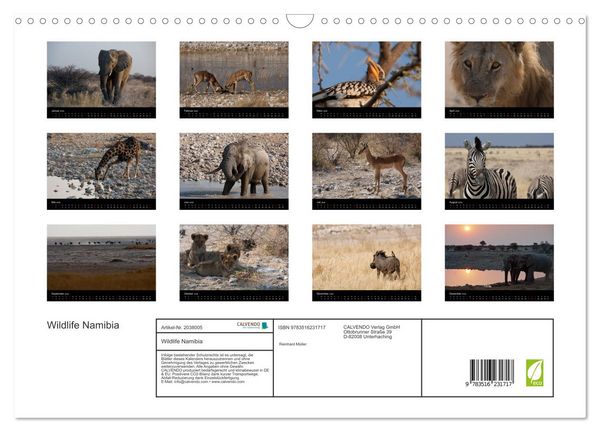 Produktbild: Wildlife Namibia (Wandkalender 2026 DIN A3 quer), CALVENDO Monatskalender