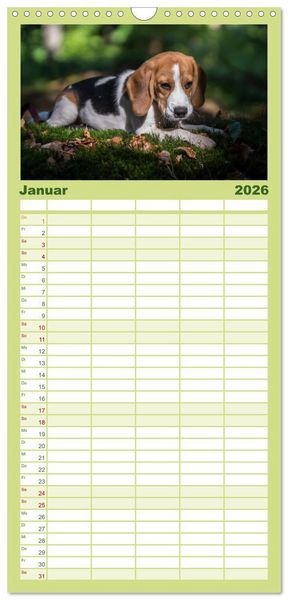 Produktbild: Familienplaner 2026 - Beaglebabys auf Entdeckungstour mit 5 Spalten (Wandkalender, 21 x 45 cm) CALVENDO