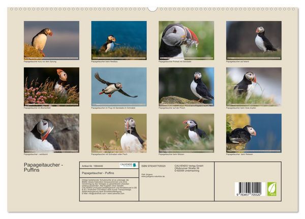 Produktbild: Papageitaucher - Puffins (hochwertiger Premium Wandkalender 2026 DIN A2 quer), Kunstdruck in Hochglanz