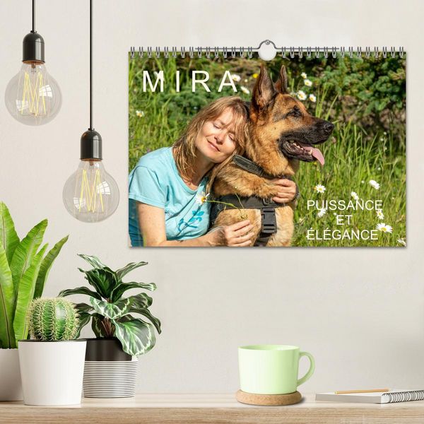 Produktbild: MIRA - PUISSANCE ET &Eacute;L&Eacute;GANCE (Calendrier mural 2026 DIN A4 vertical), CALVENDO calendrier mensuel