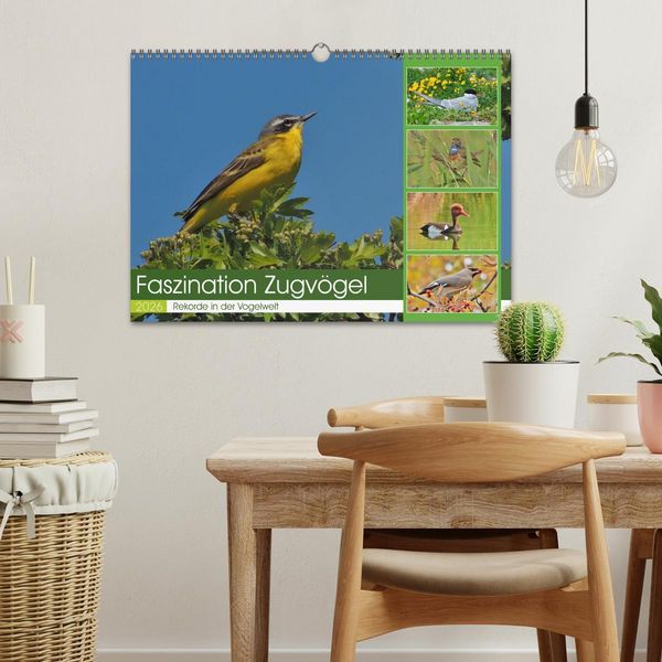 Produktbild: Faszination Zugv&ouml;gel - Rekorde in der Vogelwelt (Wandkalender 2026 DIN A3 quer), CALVENDO Monatskalender