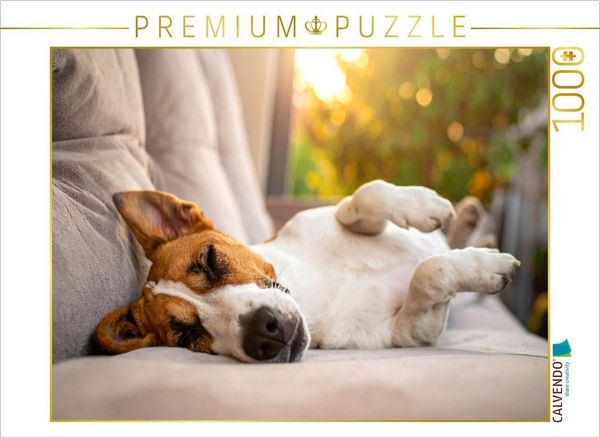 CALVENDO Puzzle Terrier vor der nächsten Action im seligen Schlaf | 1000 Teile Lege-Größe 64x48cm Foto-Puzzle für glückliche Stunden