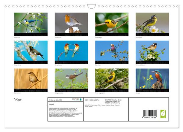 Produktbild: V&ouml;gel (Wandkalender 2026 DIN A3 quer), CALVENDO Monatskalender