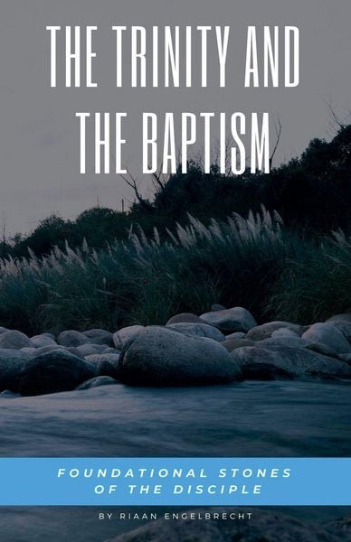 Produktbild: The Trinity and the Baptism
