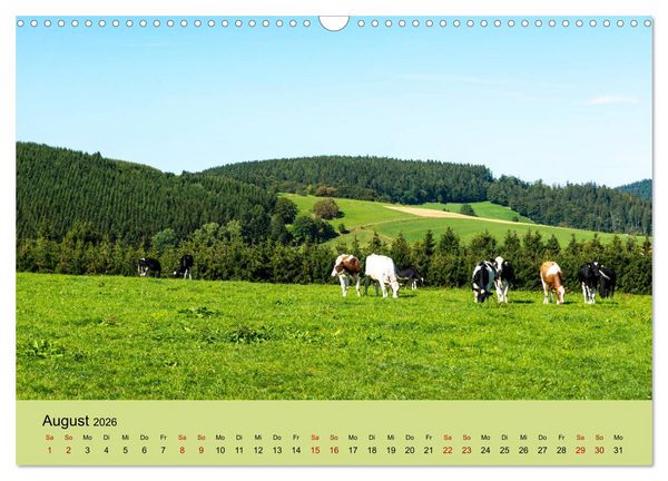 Produktbild: Pilgern im Waldecker Upland (Wandkalender 2026 DIN A3 quer), CALVENDO Monatskalender