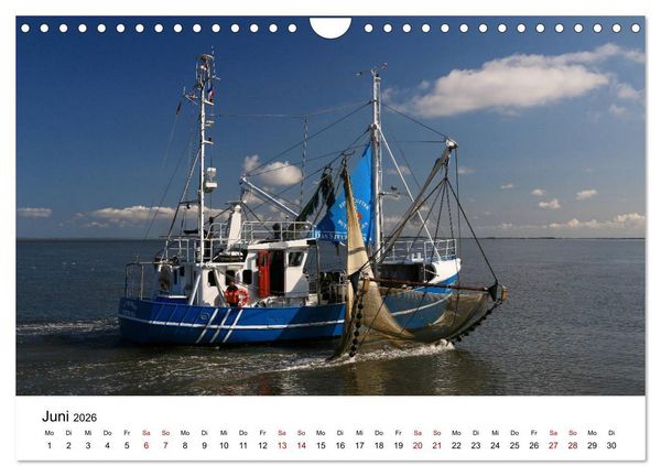 Produktbild: Insel Amrum - Ein Juwel unterm norddeutschen Himmel (Wandkalender 2026 DIN A4 quer), CALVENDO Monatskalender