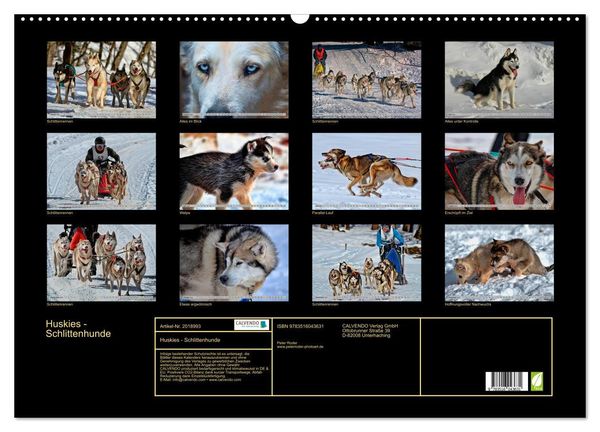 Produktbild: Huskies - Schlittenhunde (Wandkalender 2026 DIN A2 quer), CALVENDO Monatskalender