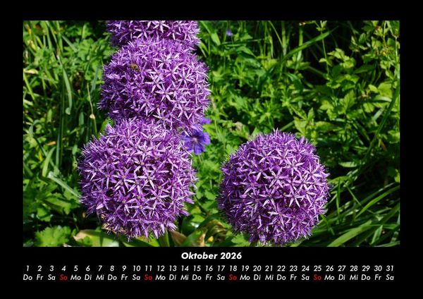 Produktbild: Blumenkalender 2026 Fotokalender DIN A3