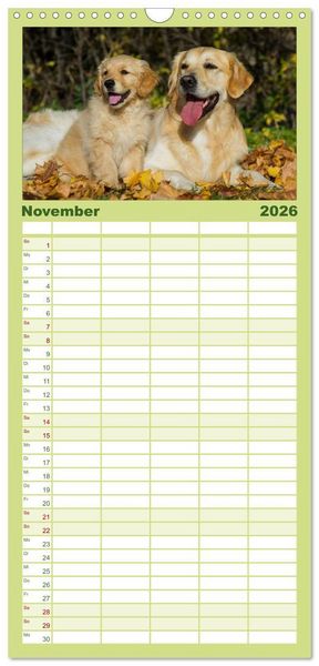 Produktbild: Familienplaner 2026 - Golden Retriever - Ein Herz auf 4 Pfoten mit 5 Spalten (Wandkalender, 21 x 45 cm) CALVENDO
