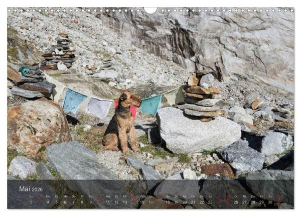 Produktbild: Der Bergdale - mit Hund im Hochgebirge (Wandkalender 2026 DIN A3 quer), CALVENDO Monatskalender