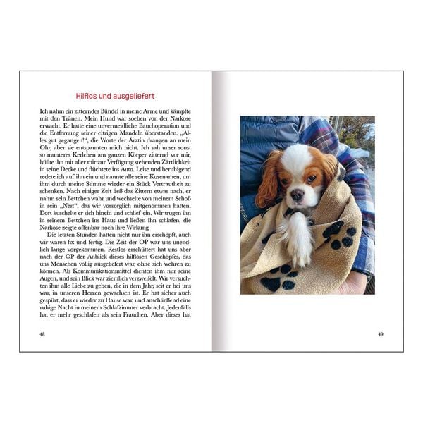 Produktbild: Mein Hund &ndash; ein Geschenk des Himmels