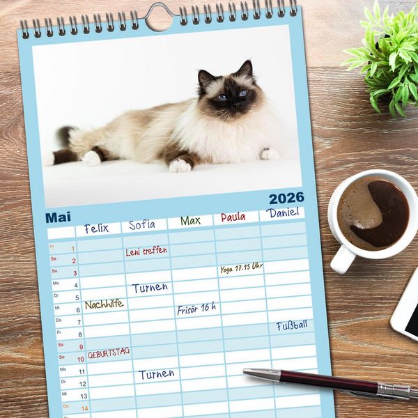 Produktbild: Familienplaner 2026 - Heilige Birma Katzen Kalender mit 5 Spalten (Wandkalender, 21 x 45 cm) CALVENDO