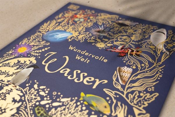 Produktbild: Wundervolle Welt. Wasser