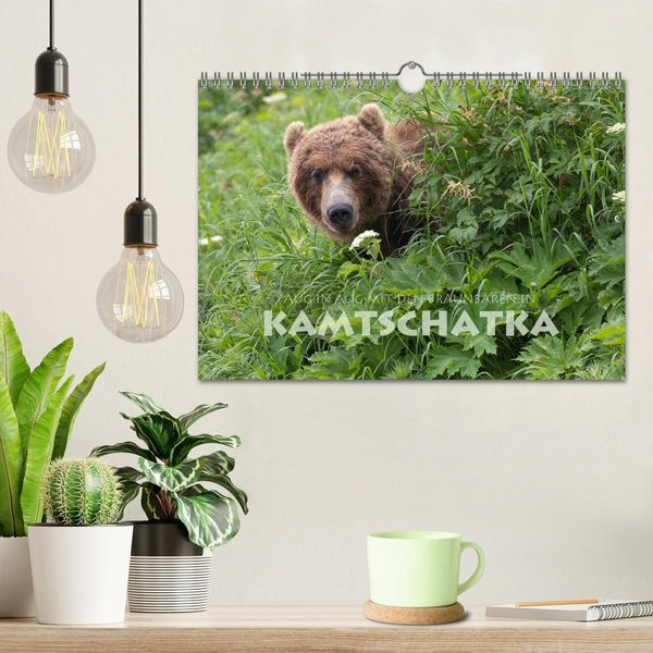 Produktbild: Aug in Aug mit den Braunb&auml;ren in Kamtschatka (Wandkalender 2026 DIN A4 quer), CALVENDO Monatskalender