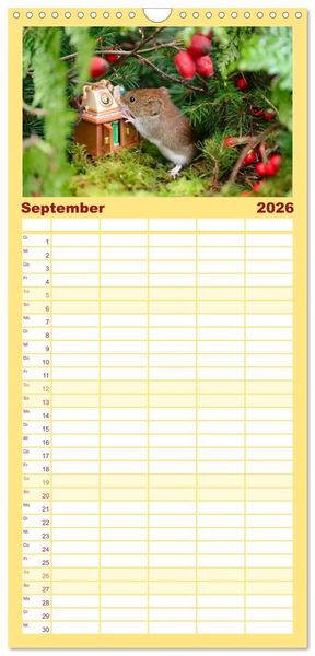 Produktbild: Familienplaner 2026 - Die R&ouml;telmaus - neugierig und verfressen mit 5 Spalten (Wandkalender, 21 x 45 cm) CALVENDO