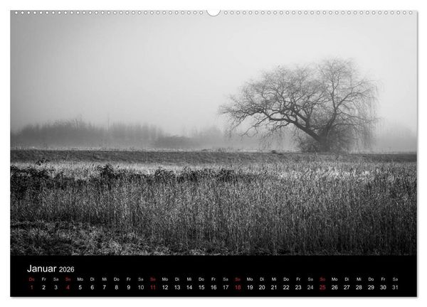 Produktbild: Monochrom 2026 (Wandkalender 2026 DIN A2 quer), CALVENDO Monatskalender