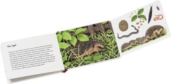 Produktbild: Tiere im Garten