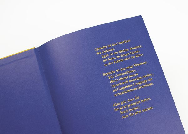 Produktbild: Corporate Language das Praxisbuch